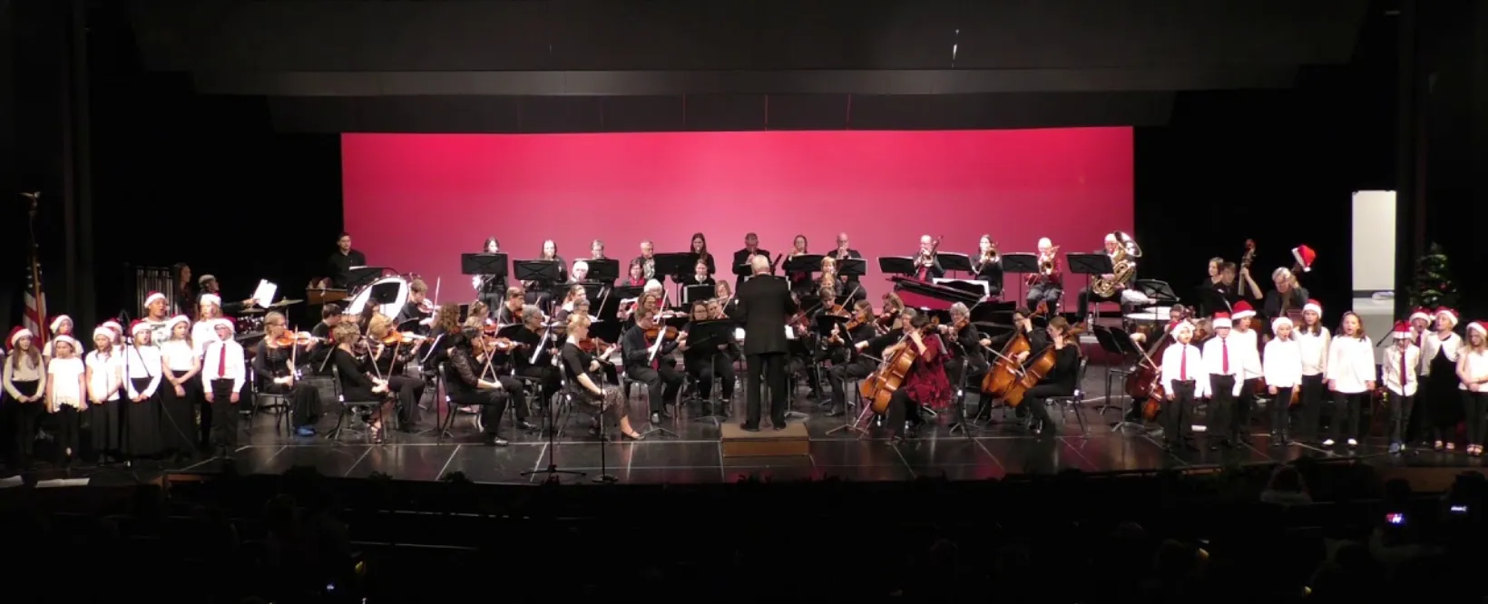 A full orchestra performing.